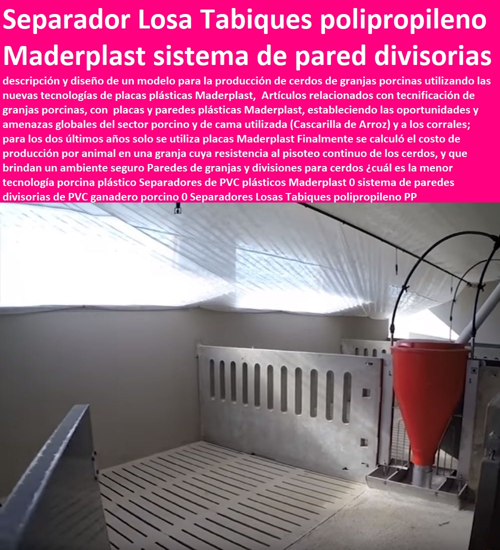 Paredes de granjas y divisiones para cerdos ¿cuál es la menor tecnología porcina plástico Separadores de PVC plásticos Maderplast 0 sistema de paredes divisorias de PVC ganadero porcino 0 Separadores Losas Tabiques polipropileno PP Paredes de granjas y divisiones para cerdos ¿cuál es la menor tecnología porcina plástico Separadores de PVC plásticos Maderplast 0 sistema de paredes divisorias de PVC ganadero porcino 0 Separadores Losas Tabiques polipropileno PP